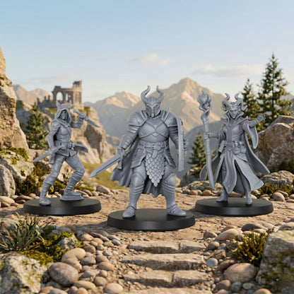 AS1002 Adventurer Party