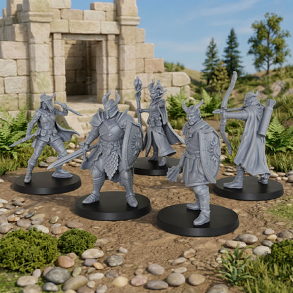AS1002 Adventurer Party