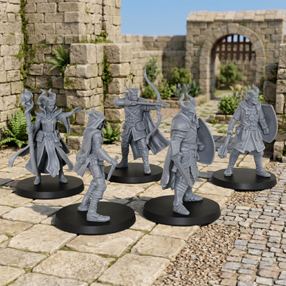 AS1002 Adventurer Party