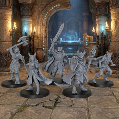 AS1008 Dragonborn Adventurer