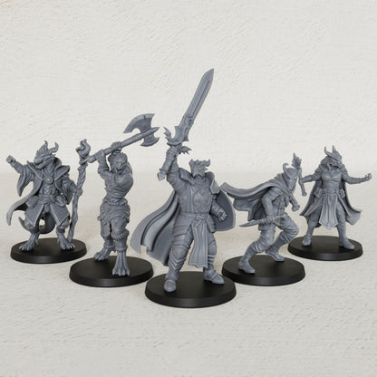 AS1008 Dragonborn Adventurer
