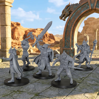 AS1008 Dragonborn Adventurer